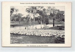 Australia - New South Wales - A Flock Of Sheep - Publ. Deutsch-Australische Dampfschiffs-Gesellschaft, Hamburg (German-A - Autres & Non Classés