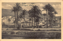 Israel - HAIFA - The Palm Gardens - Publ. Unknwon  - Israël