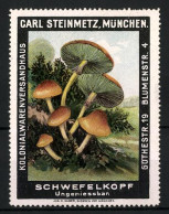 Reklamemarke Schwefelkopf, Ungeniessbar, Kolonialwarenversandhaus Carl Steinmetz, München, Göthestr. 19, Blumenstr. 4  - Erinnofilie