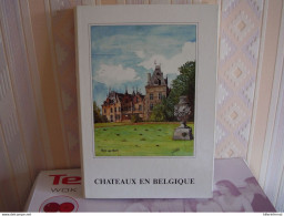 Album Chromos Images Vignettes Delhaize ***  Châteaux  *** - Albums & Katalogus