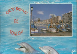 Gros Bisous De Toulon  - (P) - Toulon