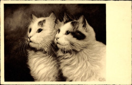 Artiste CPA Zwei Kleine Langhaarige Katzen - Autres & Non Classés