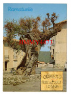 CPM - RAMATUELLE - ORMEAU Planté Sous SULLY 1598 - Edit. ARIS Bandol - Alberi