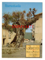 CPM - RAMATUELLE - ORMEAU Planté Sous SULLY 1598 - Edit. ARIS Bandol - Arbres