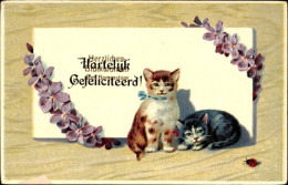 CPA Glückwunsch Namenstag, Katzen, Blumen, Marienkäfer - Autres & Non Classés