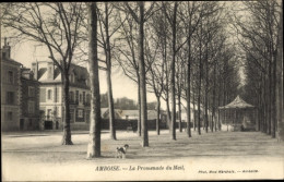 CPA Amboise Indre Et Loire, La Promenade Du Mail - Sonstige & Ohne Zuordnung