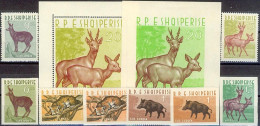 ALBANIA 1962, ANIMALS, TWO COMPLETE, MNH PERFORATE And IMPERFORATE SERIES+2 BLOCKS With GOOD QUALITY, *** - Albanië