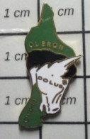912E Pin's Pins / Beau Et Rare / ANIMAUX / TETE DE CHEVAL DOLUS D'OLERON - Animals