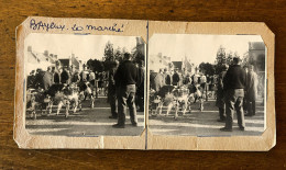 Bayeux * Le Marché Aux Bestiaux , Foire * Photo Stéréo Anciennes Format 18x9cm - Bayeux