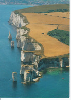 Dorset - Handfast Point - Sonstige & Ohne Zuordnung