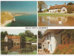Beautiful Dorset - Other & Unclassified