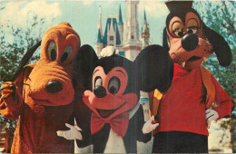 WALT DISNEY WORLD FLORIDE  - Disneyworld