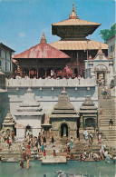 KATHMANDU TEMPLE  - Népal