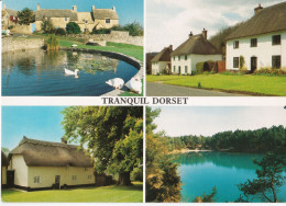 Tranquil Dorset - Other & Unclassified