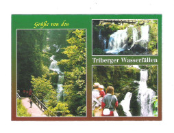 TRIBERG  - GRUSSE VON DEN TRIBERGER WASSERFALLEN (D 190) - Triberg