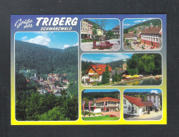 TRIBERG  - GRUSSE AUS  TRIBERG SCHWARZWALD   (D 191) - Triberg