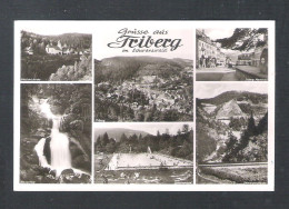 TRIBERG  - GRUSSE AUS TRIBERG  IM  SCHWARZWALD    (D 192) - Triberg