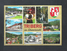 TRIBERG  IM  SCHWARZWALD   (D 195) - Triberg