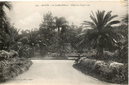 ALGERIE - ALGER - 352 - Le Jardin D'Essai - L'allée Du Grand Lac - Collection Régence A. L. édit. Alger (Leroux) - - Algiers