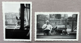 1952 - 2X - Originele Foto - Photo Originale - Man Met Duitse Herdershond - Homme Avec Chien De Berger Allemand - 8x6 Cm - Personnes Anonymes