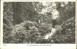 11231838 Kew_Gardens Rhododendron Dell - Sonstige & Ohne Zuordnung