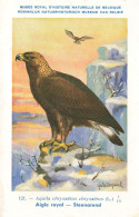 Aigle Royal , Steenarend * CPA Illustrateur DUPOND * Thème Oiseau Oiseaux Bird Birds - Oiseaux