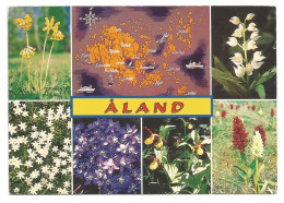 The FLOWERS Of ÅLAND - FINLAND - - Finnland