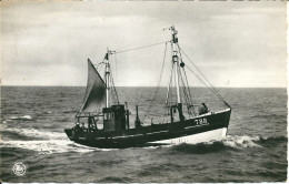 Retour De Peche - Terugkomst Van De Visvangst - Fischerei