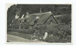 Postcard Devon Rp Lee Village The Three Old Maids Cottage Unused - Andere & Zonder Classificatie