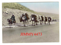 CPM - LIBAN En 1959 - Une Caravane ( De Coton, Bien Animée ) Photo Soort - Bab Edriss - Liban