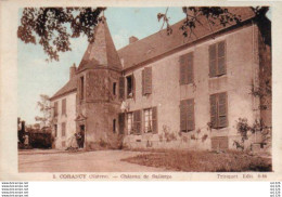 2V10Pa    58 Corency Chateau De Sallorge - Autres & Non Classés