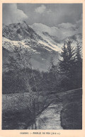 74-CHAMONIX-N°T5162-H/0051 - Chamonix-Mont-Blanc