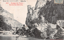 48-GORGES DU TARN-N°5163-C/0301 - Gorges Du Tarn
