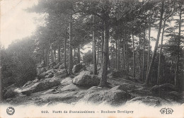 77-FONTAINEBLEAU LA FORET ROCHERS BOULIGNY-N°5164-G/0163 - Fontainebleau