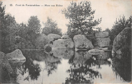 77-FONTAINEBLEAU LA FORET MARE AUX BICHES-N°5164-G/0157 - Fontainebleau