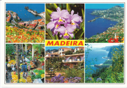 Madeira - Madeira