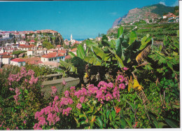 Madeira - Câmara De Lobos - Aldeia Piscatória - Madeira