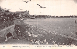 06-CANNES-N°5165-H/0149 - Cannes