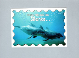 Dauphins - Delfines