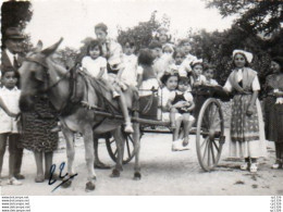 3V3Gz  04 Forcalquier Photo N°1 Attelage Ane Mulet Promenade Des Enfants Sur Charette - Forcalquier