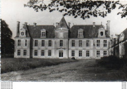 2V10Fo   86 Curzay Sur Yonne Le Chateau - Sonstige & Ohne Zuordnung