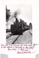 611Or  Photo Glacée Petit Train Des Alpilles Avec Texte Original De Marie Mauron - Eisenbahnen
