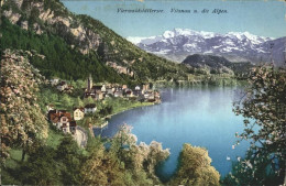 11199524 Vierwaldstaettersee Vitznau
Alpen  - Andere & Zonder Classificatie