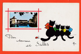 28491 / Rare SALLES-COURBATIES 12-Aveyron Bon Souvenir Ajouti Photo CHAUSSEE  Illustrateur RENE Série CHATS  1960s  - Other & Unclassified