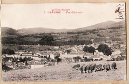 28358 / BRASSAC 81-Tarn Illustré 1910s Vue Générale Du Village Troupeau Moutons Pâturage Photographie POUX Albi N°7 - Brassac