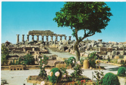 Selinunte - Acropoli Tempio C - Andere & Zonder Classificatie