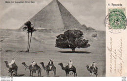 4V1FP   Egypte Pyramide Et Caravane De Chameliers - Alexandrie