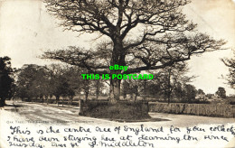 R587353 Oak Tree. Centre Of England. Lillington. 1903 - Monde