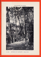 35605 / Suisse Phototypie Etude De Paysage SOUS-BOIS Schweiz PAYSAGES SUISSES 1900 Comptoir NEUCHATEL 2603 - Andere & Zonder Classificatie