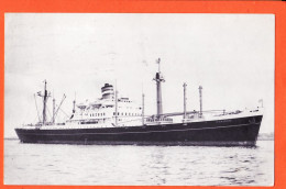 35760 / S.S DIEDMERDIJK Cargo 11195 Gross Tons Holland America Line 1951 - Commercio